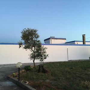 Frantoio Ninù